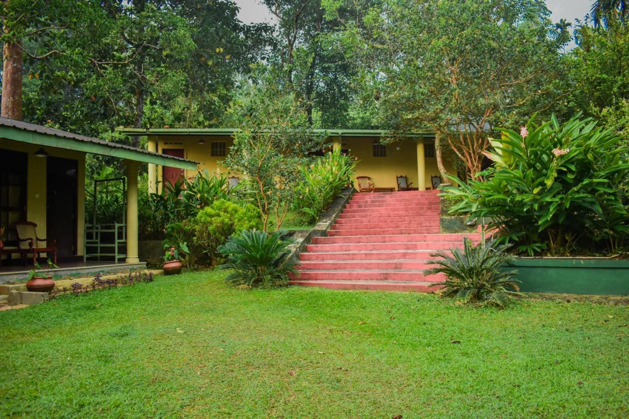 Blue Magpie Lodge Sinharaja Kudawe Exterior photo